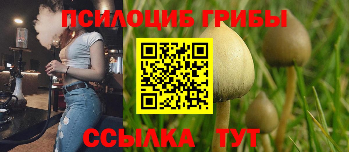 Южно-Сахалинск  Псилоцибиновые грибы прущие грибы  Вход с VPN 