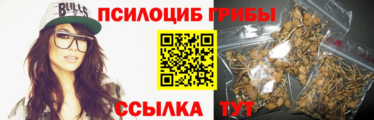 Псилоцибиновые грибы GOLDEN TEACHER Южно-Сахалинск